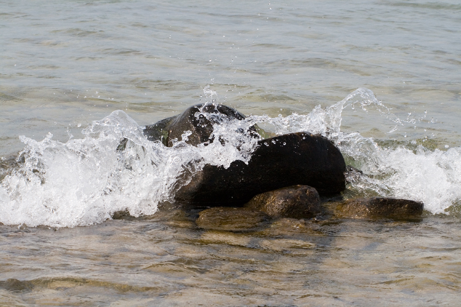 BeaverIsland_233