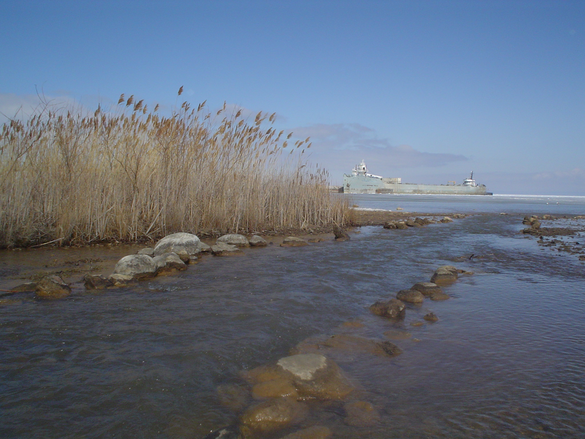 Imported_Photos_00015