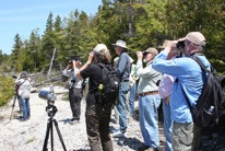 birding_picture