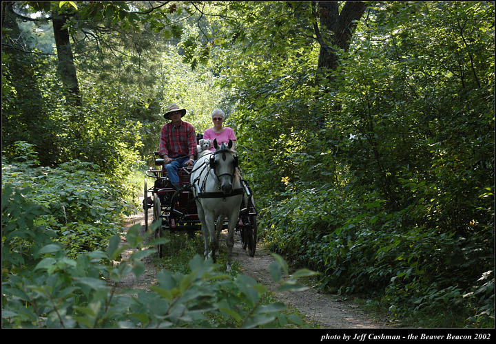 2l_horse_and_buggy_01