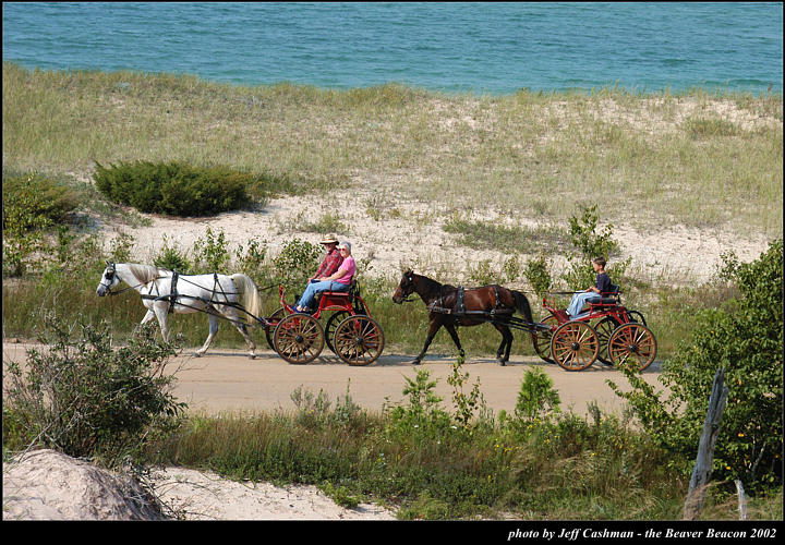 2l_horse_and_buggy_02