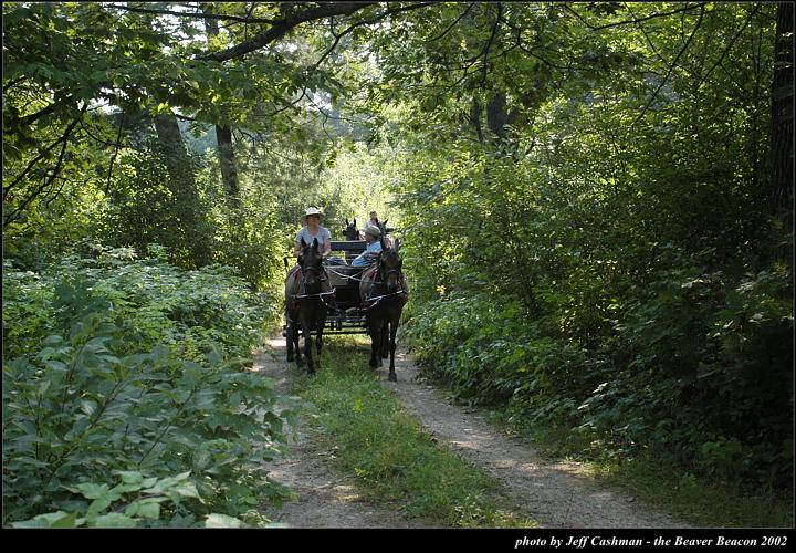 2l_horse_and_buggy_03