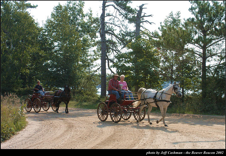 2l_horse_and_buggy_04