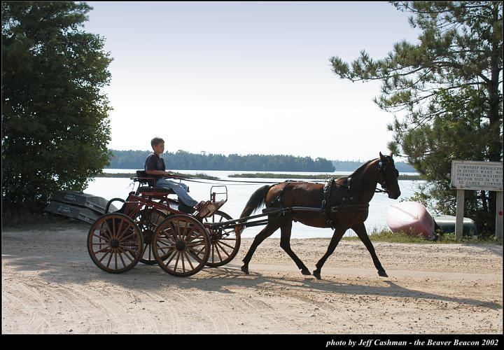 2l_horse_and_buggy_05