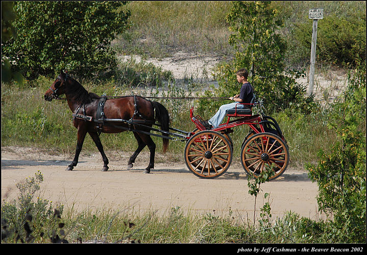 2l_horse_and_buggy_06