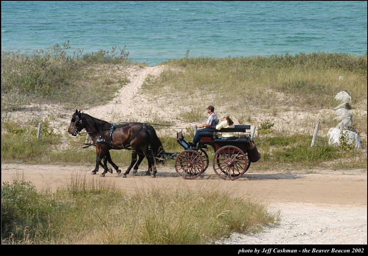 2l_horse_and_buggy_08