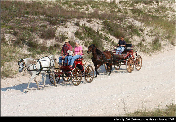 2l_horse_and_buggy_09