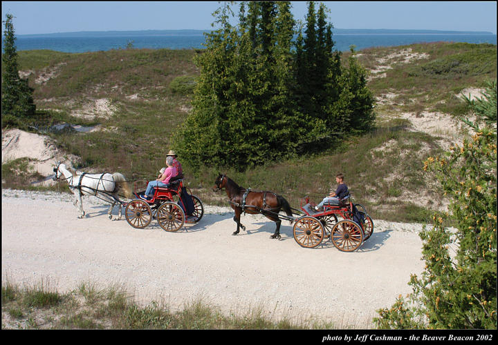 2l_horse_and_buggy_14