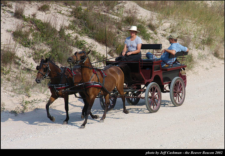 2l_horse_and_buggy_15