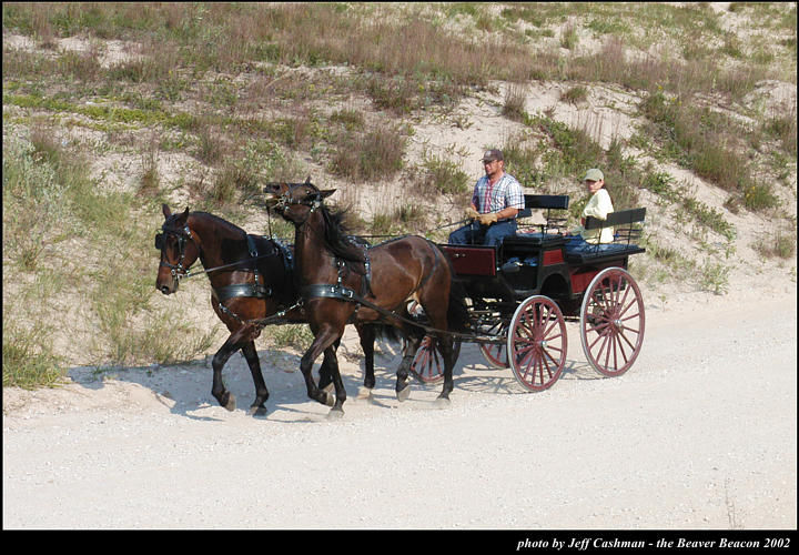 2l_horse_and_buggy_16