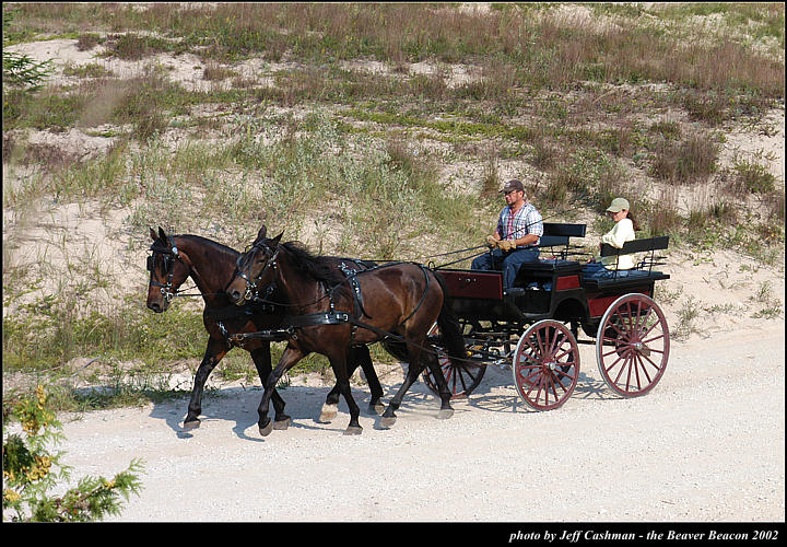 2l_horse_and_buggy_17