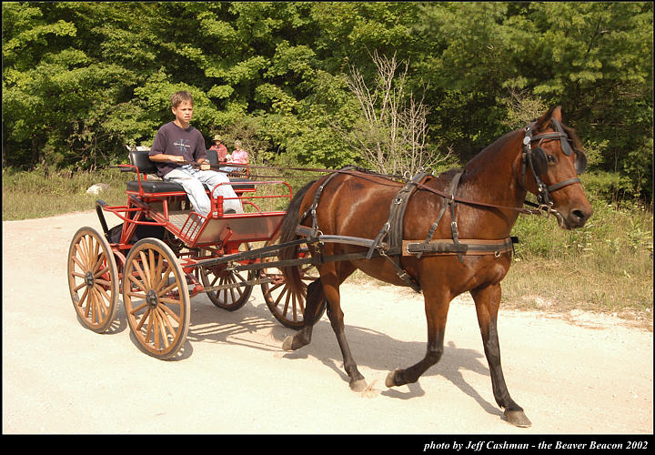 2l_horse_and_buggy_18