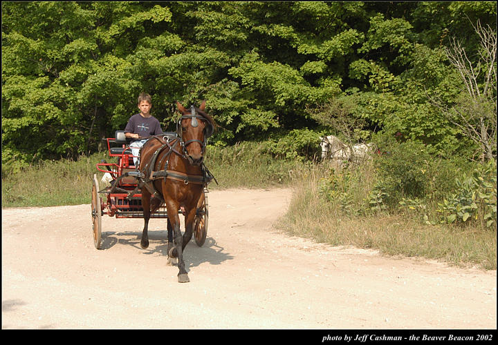 2l_horse_and_buggy_19