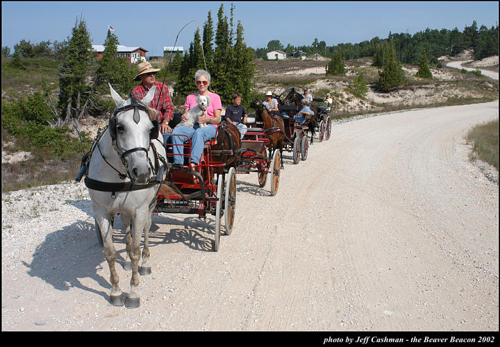 2l_horse_and_buggy_21