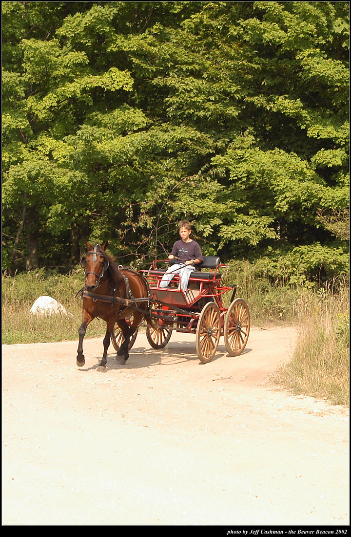2p_horse_and_buggy_24
