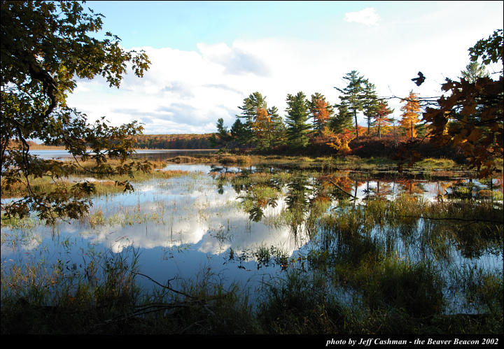 2beaver-island-fall-colors-jeff-cashman-11