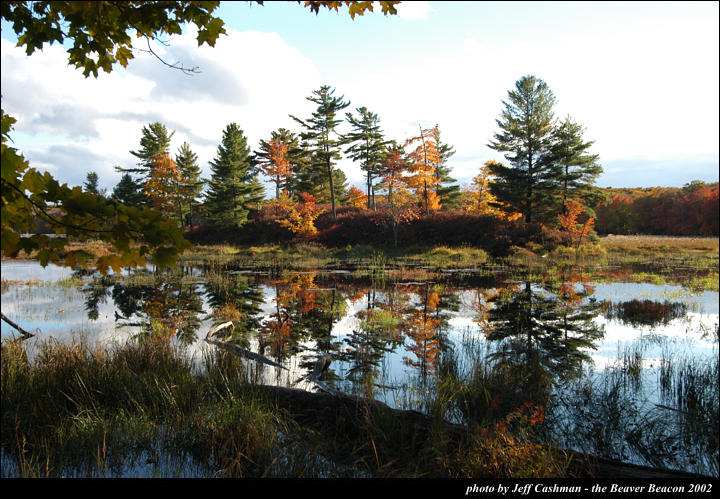 2beaver-island-fall-colors-jeff-cashman-13