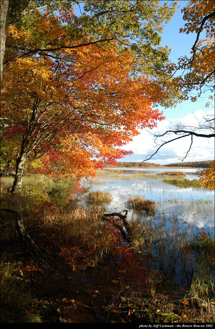 2beaver-island-fall-colors-jeff-cashman-14