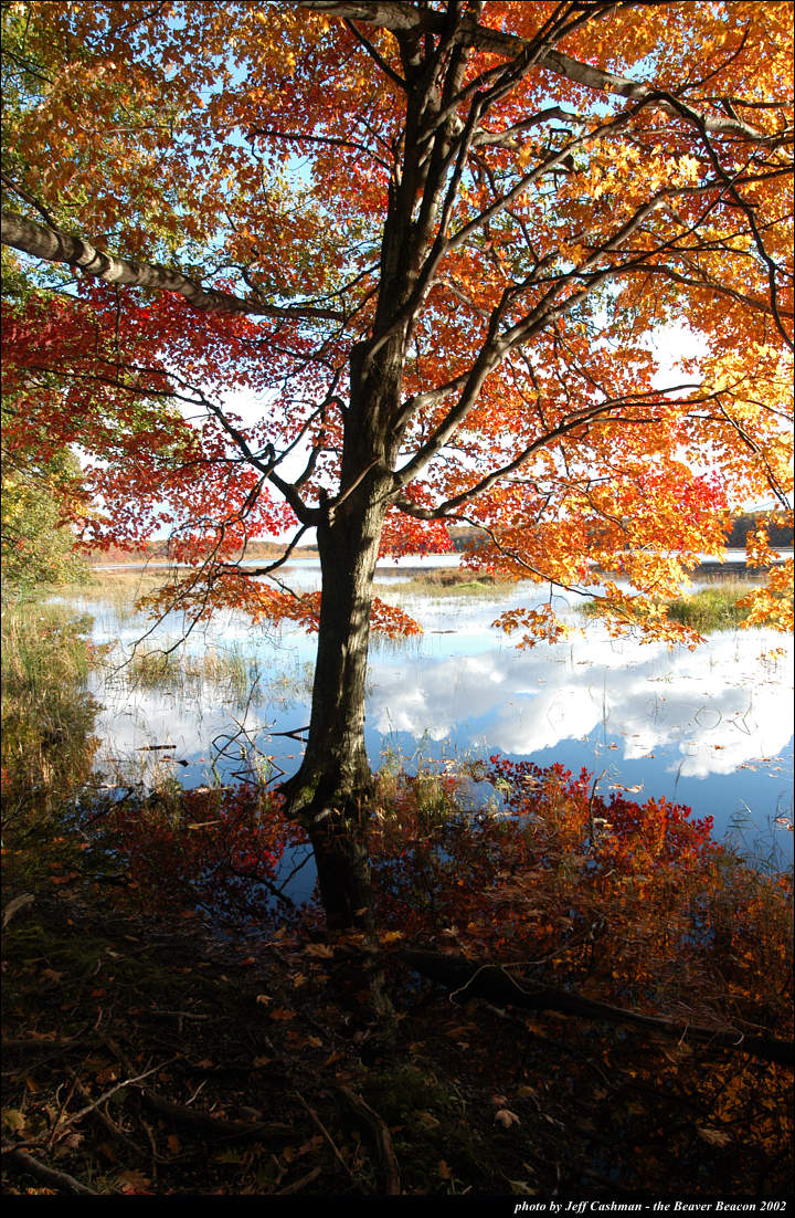 2beaver-island-fall-colors-jeff-cashman-15