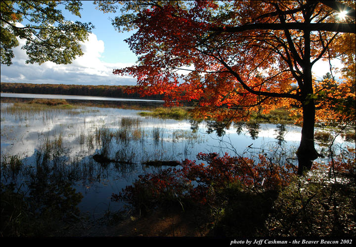 2beaver-island-fall-colors-jeff-cashman-16