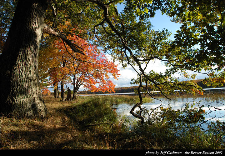 2beaver-island-fall-colors-jeff-cashman-17