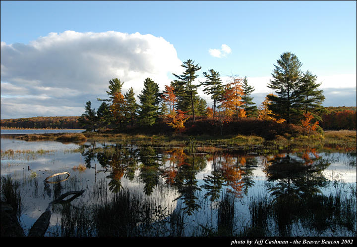 2beaver-island-fall-colors-jeff-cashman-2