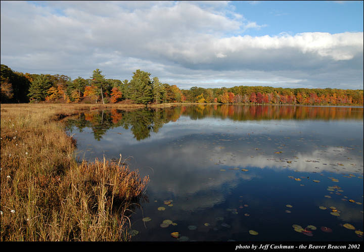 2beaver-island-fall-colors-jeff-cashman-4