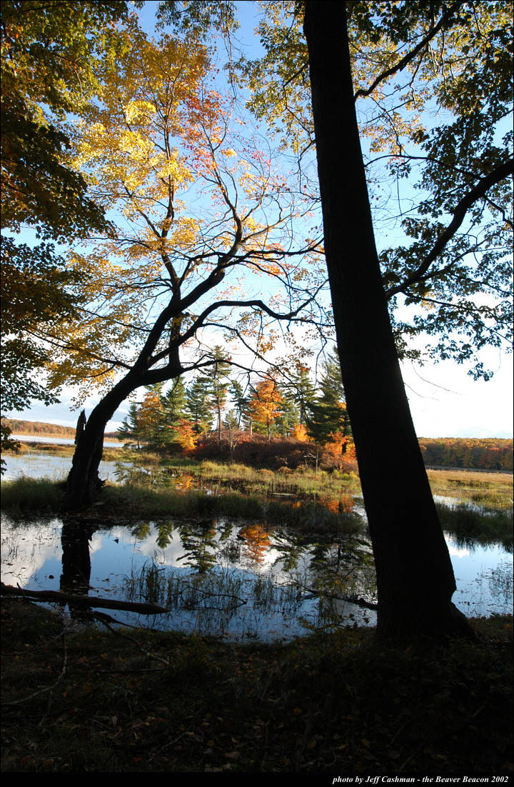 2beaver-island-fall-colors-jeff-cashman-6