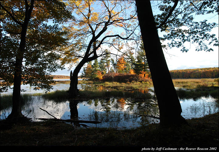 2beaver-island-fall-colors-jeff-cashman-7