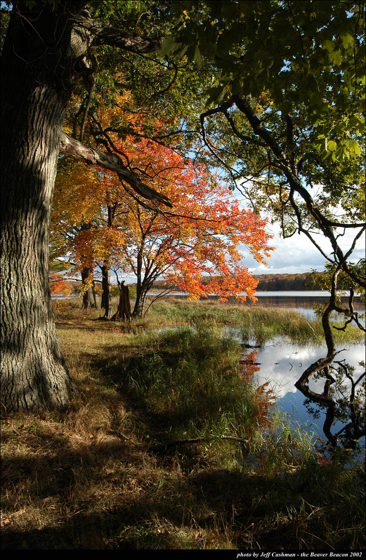 2beaver-island-fall-colors-jeff-cashman-8