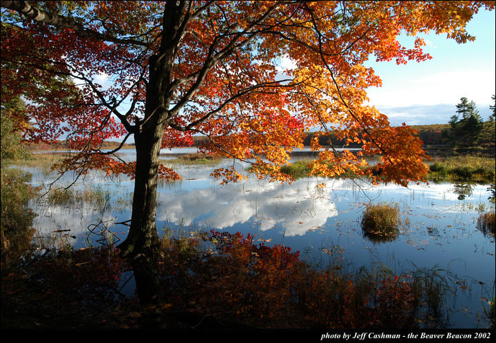 2beaver-island-fall-colors-jeff-cashman-9