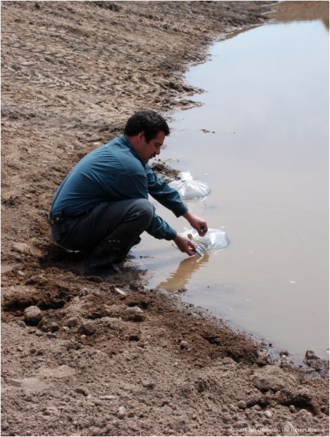 2Beaver_Beacon_Beaver_Island_Wildlife_Club_CMU_Walleye_Pond_4283