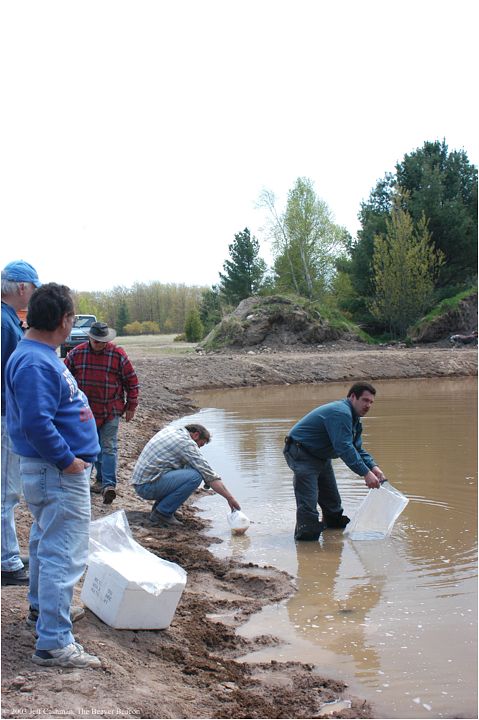 2Beaver_Beacon_Beaver_Island_Wildlife_Club_CMU_Walleye_Pond_4312