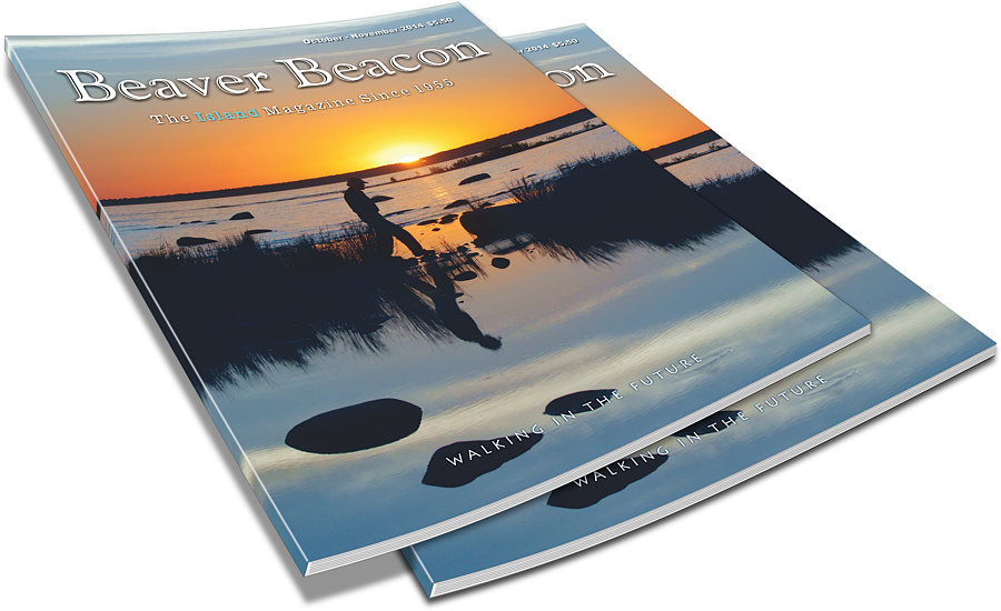 October-November 2014 Beaver Beacon Island News