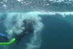 Underwater Explorations and Discoveries