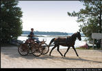 2l_horse_and_buggy_05.jpg