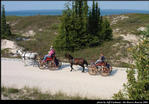 2l_horse_and_buggy_14.jpg