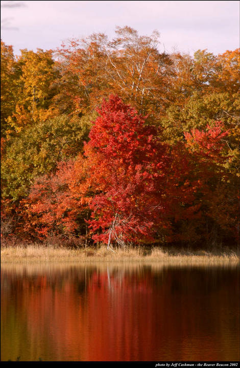 Fall Colors at Fox Lake
