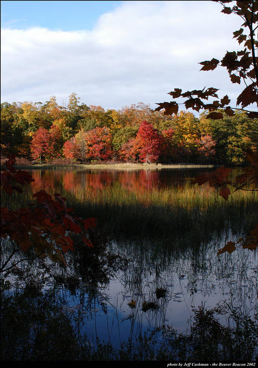 Fall Colors at Fox Lake