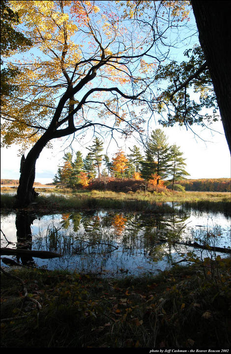 Fall Colors at Greene's Lake