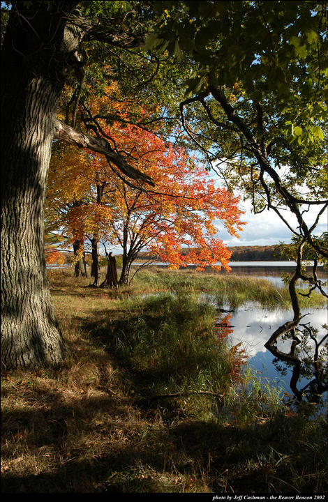 Fall Colors at Greene's Lake