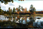 2beaver-island-fall-colors-jeff-cashman-13.jpg