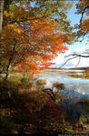 2beaver-island-fall-colors-jeff-cashman-14.jpg