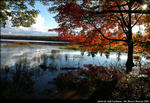 2beaver-island-fall-colors-jeff-cashman-16.jpg