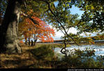 2beaver-island-fall-colors-jeff-cashman-17.jpg