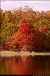 2beaver-island-fall-colors-jeff-cashman-18.jpg