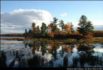 2beaver-island-fall-colors-jeff-cashman-2.jpg