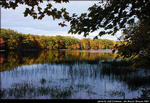 2beaver-island-fall-colors-jeff-cashman-27.jpg