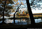 2beaver-island-fall-colors-jeff-cashman-7.jpg