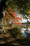 2beaver-island-fall-colors-jeff-cashman-8.jpg